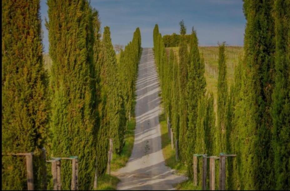 House With A View In Tuscany San Gusme Exterior foto