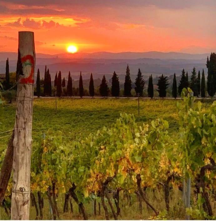 House With A View In Tuscany San Gusme Exterior foto