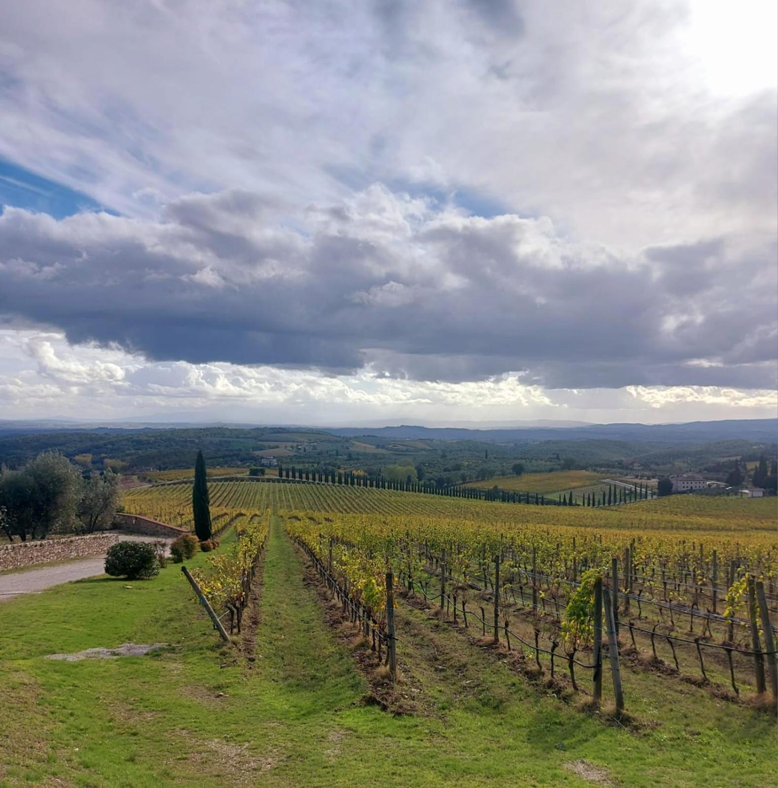 House With A View In Tuscany San Gusme Exterior foto