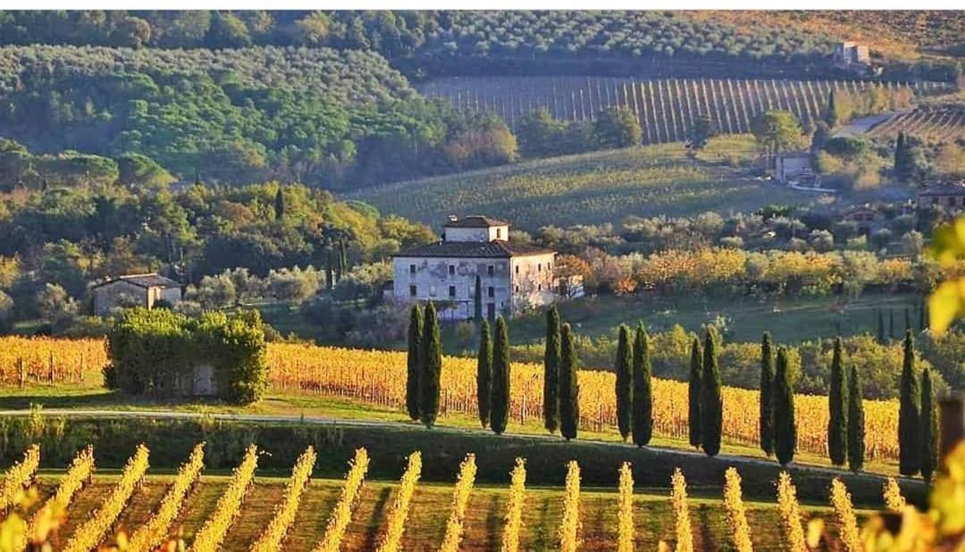 House With A View In Tuscany San Gusme Exterior foto